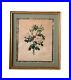 1700-s-Mary-Lawrence-Original-Hand-Colored-Rose-Stipple-Engraving-01-jqdy