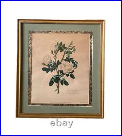 1700's Mary Lawrence Original Hand Colored Rose Stipple-Engraving