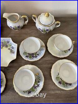 Antique Imperial Germany 19 Piece Tea Set Hand Decorated Artist Signed
