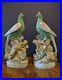 Pair-19th-c-Large-13-5-Staffordshire-Parrot-Bird-Figurines-Antique-Figures-01-rdud