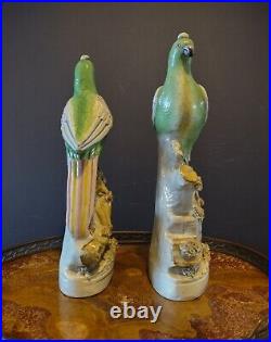 Pair 19th c Large 13.5 Staffordshire Parrot Bird Figurines Antique Figures