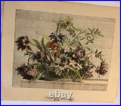 RARE Art Paintings Lot -7 Piece- 1952 Argosy BAPTISTE Basket of Flowers Antique