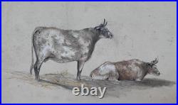 Vintage Original Antique Drawing Cows, Bulls, Animals