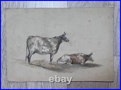 Vintage Original Antique Drawing Cows, Bulls, Animals
